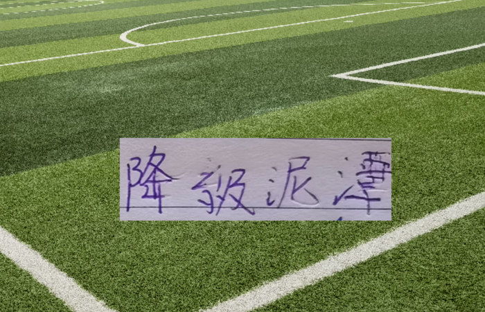 开云赛事集团-青岛海牛积分转正！|北京国安|天津|中超|保级|山东泰山_新浪体育_新浪新闻